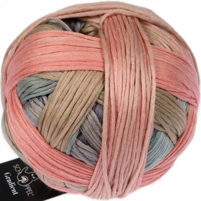Schoppel Wolle Gradient 2624 Elchtest
