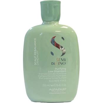 ALFAPARF Milano Semi Di Lino Scalp Care Purifying Shampoo - шампоан против пърхот