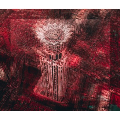 Fotografie - Chiriacò, Carmine: květina v městském poli - reprodukce obrazu