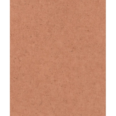 Rasch 520880 vliesová tapeta na zeď Concrete rozměry 0,53 x 10,05 m