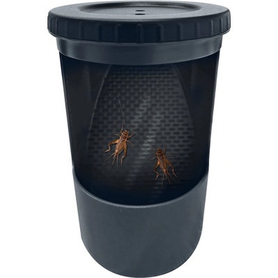 Repto Insect Buffet