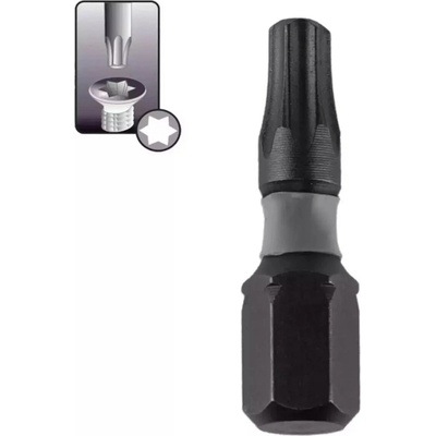 Dedra T20 x 25 mm 2 ks 18A53T200-02