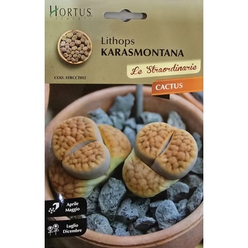 Hortus Литопс (Lithops karasmontana) - Живи камъни