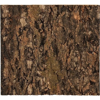 Repti Planet korkové pozadí přírodní 19x27,3 cm