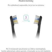 Hella Cleantech 600 mm 11040