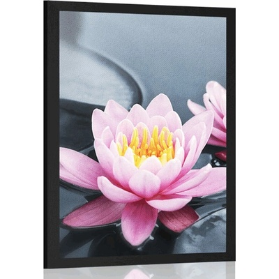 Plakát lotosový květ v jezeře - 40x60 silver