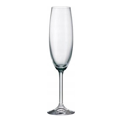 Crystalite Bohemia Colibri Skleničky na šampaňské čiré 6 x 220 ml