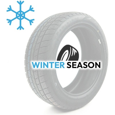Fortune Nivalis Winter Pro 235/55 R19 105V