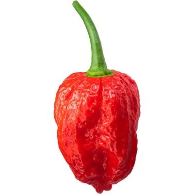 Semínka Piquant Paprička chilli NAGA MORICH