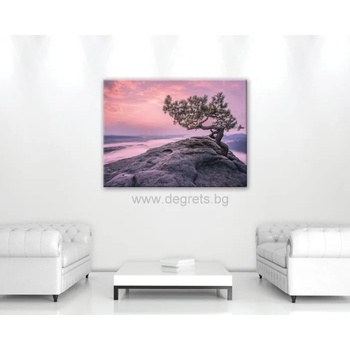 Image 1 of Картина Канава Светът на сънищата 1 М