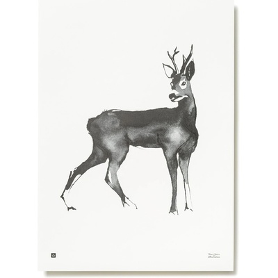 Plagát Roe Deer 50x70