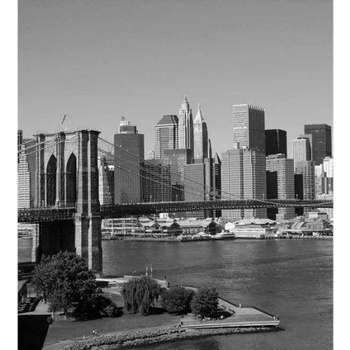 DIMEX ART s. r. o Флизелинов фототапет манхатън в сиво 225 x 250 см