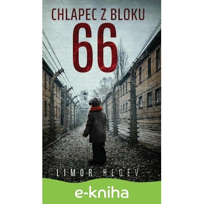 Chlapec z bloku 66 - Limor Regev