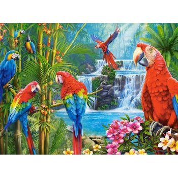 Image 1 of Castorland - Puzzle Parrot Meeting - 2 000 piese