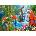 Castorland - Puzzle Parrot Meeting - 2 000 piese