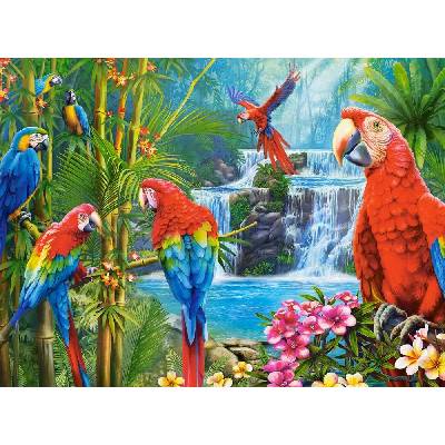 Castorland - Puzzle Parrot Meeting - 2 000 piese