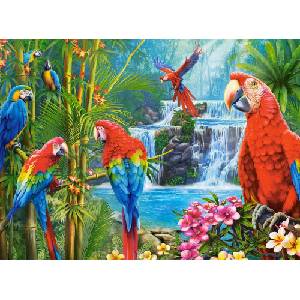 Castorland - Puzzle Parrot Meeting - 2 000 piese