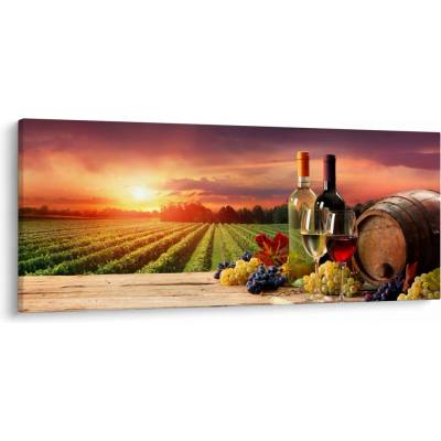 Obraz vinice s vínem, jednodílný 120x50 cm