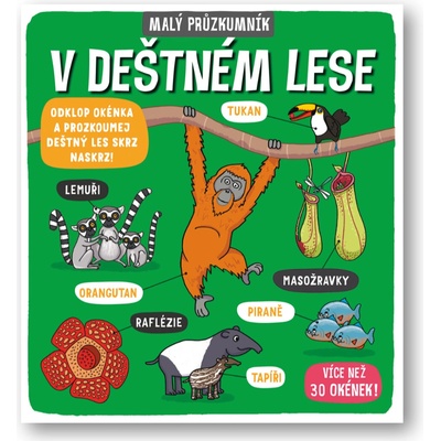Malý průzkumník V deštném lese