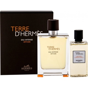 Hermès Terre D'Hermès Eau Intense Vetiver parfémovaná voda pánská 100 ml