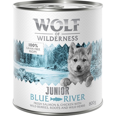 Výhodné balenie Little Wolf of Wilderness Junior 12 x 800 g - Blue River Junior - kura a losos