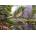 Castorland - Puzzle Cottage By The River - 1 000 piese