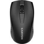 CANYON MW-7 (CNE-CMSW07B)
