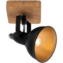 Briloner 2901-015