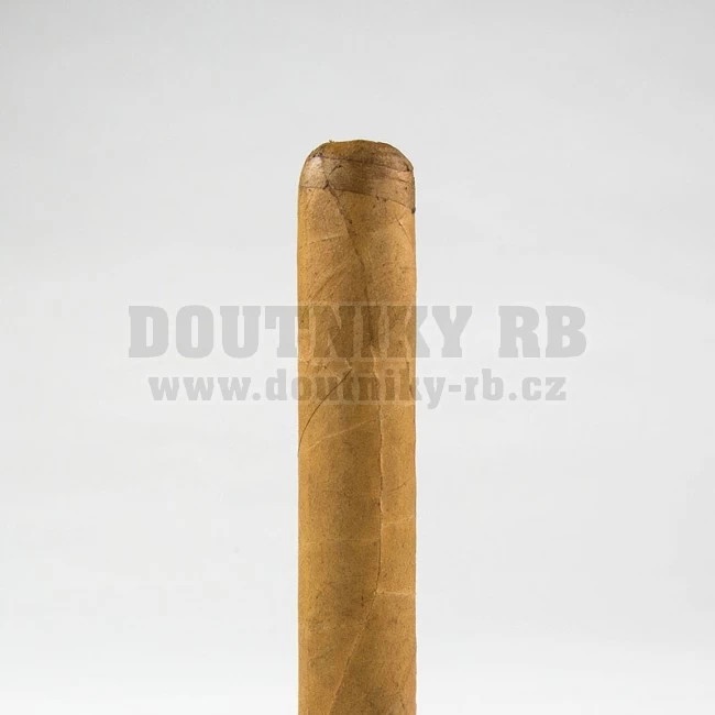 Cusano Corona