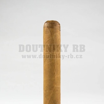 Cusano Corona
