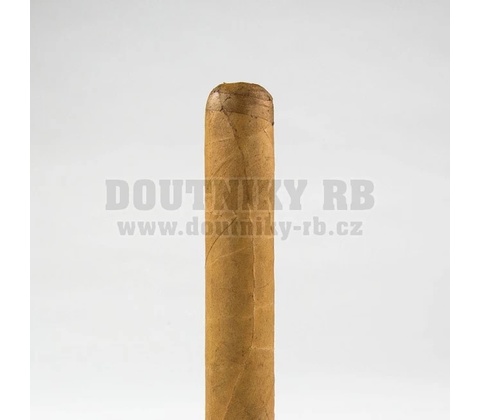 Cusano Corona