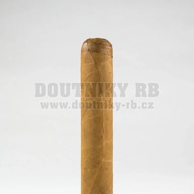 Cusano Corona
