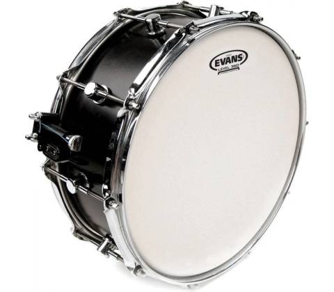 Evans 14" Genera Coated