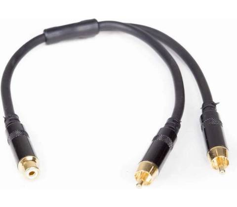 Master audio RCA099