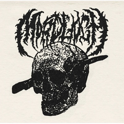 Vampire - What Seems Forever Can Be Broken (LP) (8200120263060)