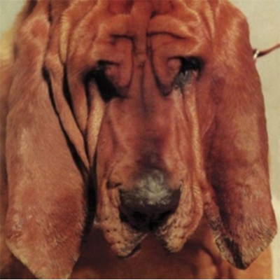 SEGALL TY: GOODBYE BREAD LP