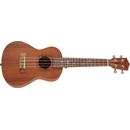 Bamboo Eco 23