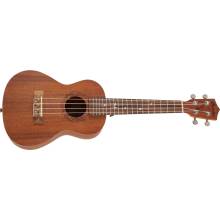 Bamboo Eco 23