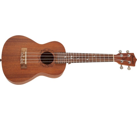 Bamboo Eco 23