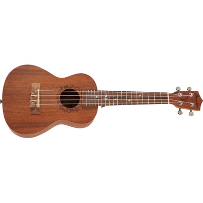 Bamboo Eco 23