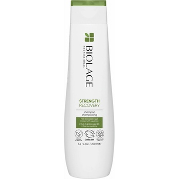 Biolage Šampón pre poškodené vlasy 400 ml