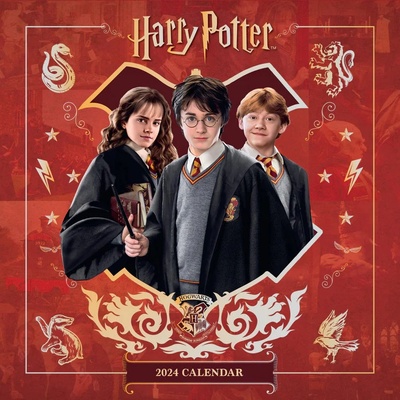 Danilo Harry Potter 2024