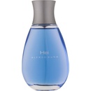 Alfred Sung Hei EDT 100 ml