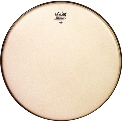 Remo RE-0013-SS