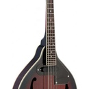 Stagg M50 E