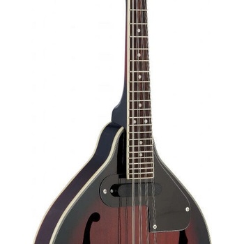 Stagg M50 E