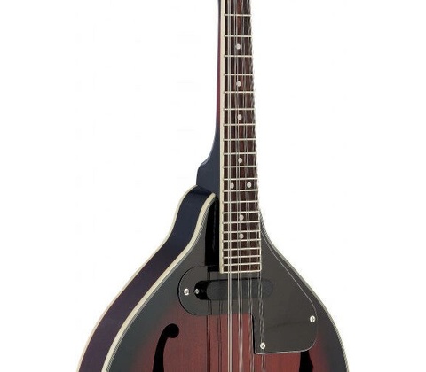 Stagg M50 E