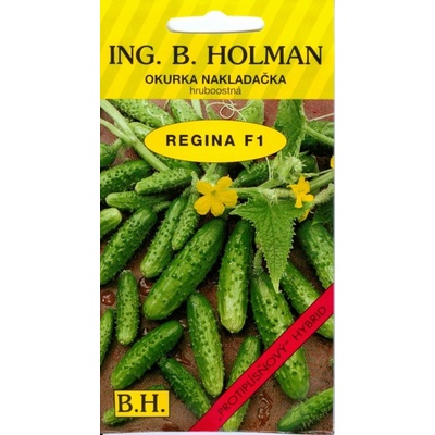 Holman F1 Regina okurky nakladačky 2 g