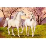 Castorland Puzzle 1000 elements Unirozce in love