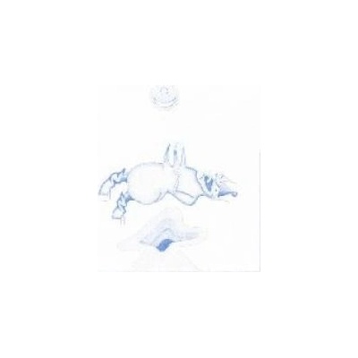 BANHART DEVENDRA: APE IN PINK MARBLE LP
